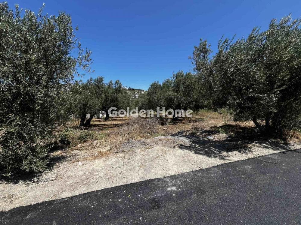 Οικόπεδο στην Άγιος Ιωάννης Κνωσσού, Ηράκλειο Κρήτης — Φωτογραφία 3 από 4
