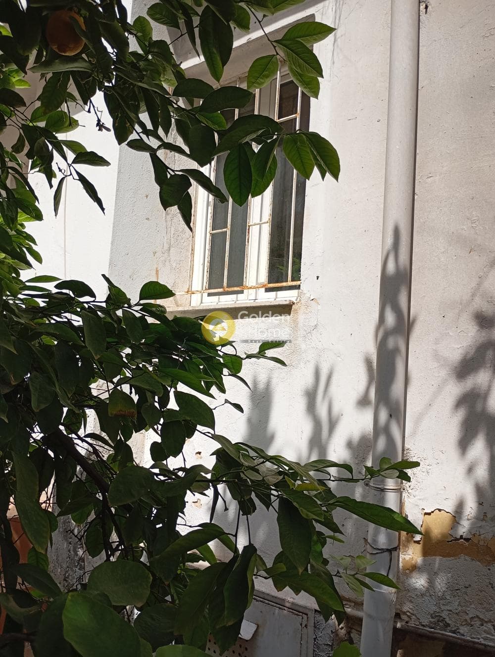Apartment in Agios Ioannis Chrisostomos, Nikaia — Photo 2 of 14