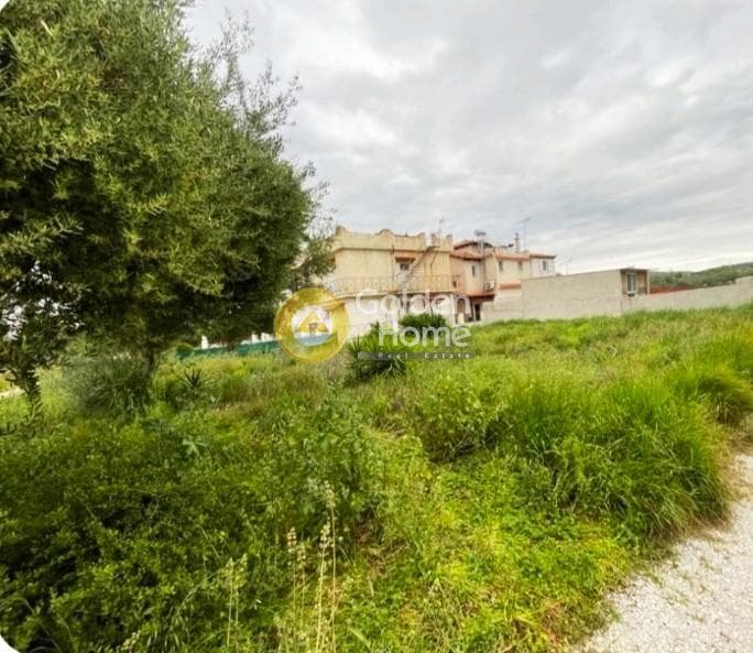 Building Plot in Psili Ammos, Salamina — Photo 3 of 13