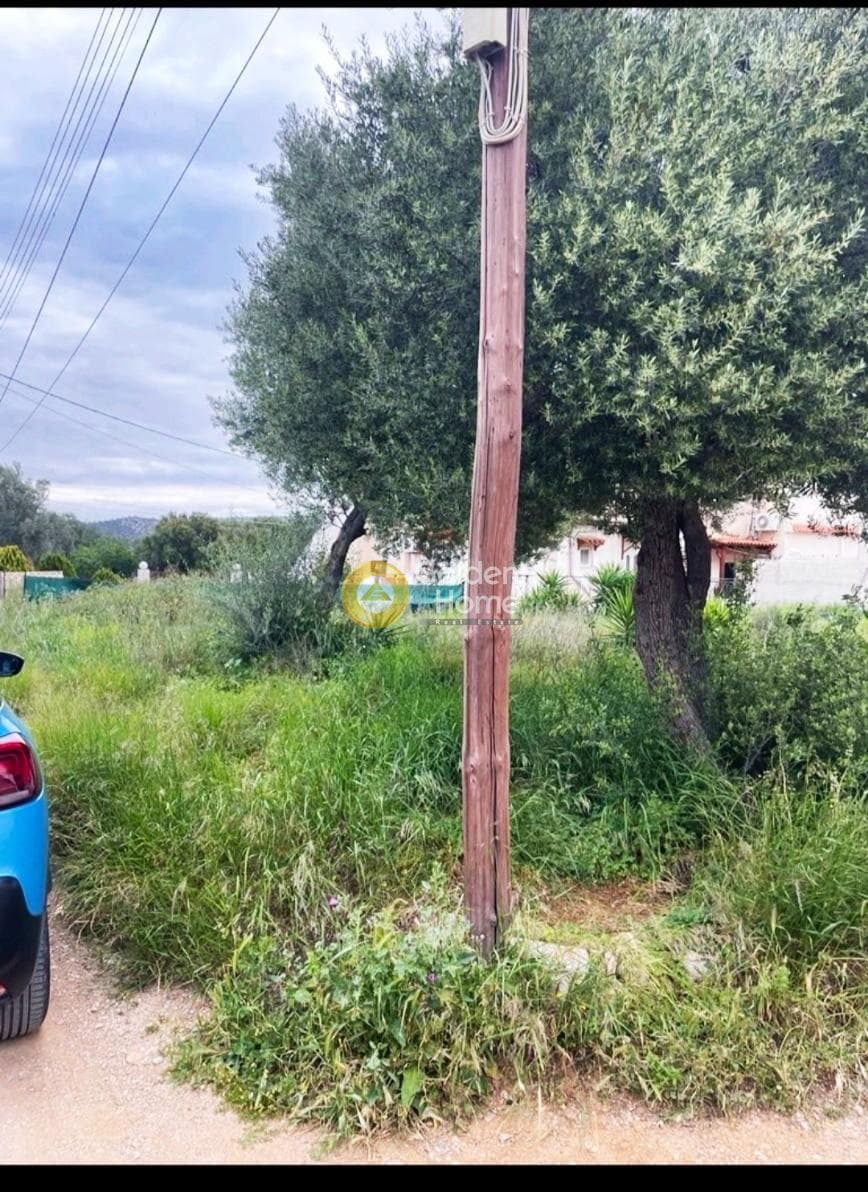 Building Plot in Psili Ammos, Salamina — Photo 11 of 13