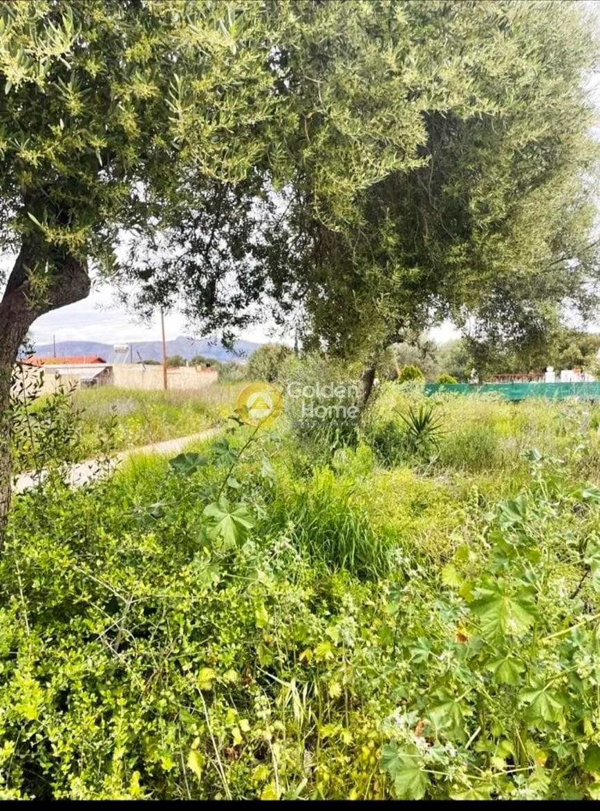 Building Plot in Psili Ammos, Salamina — Photo 13 of 13