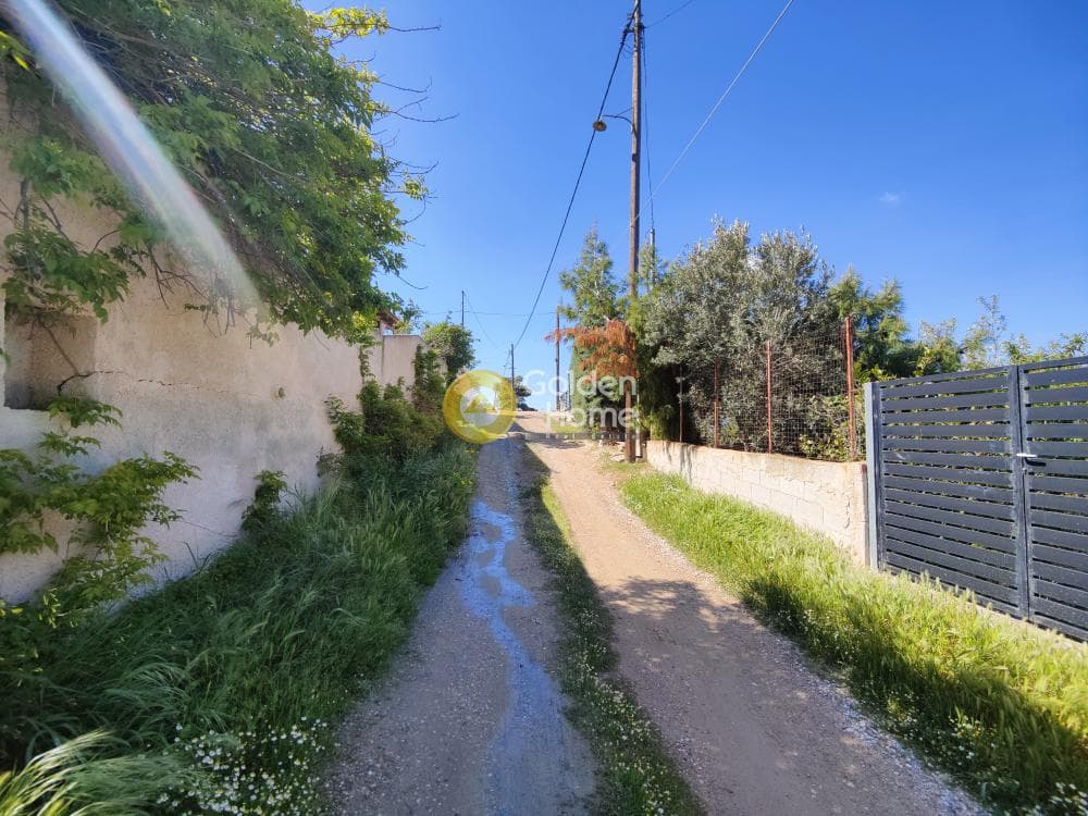 Parcel in Sakka, Keratea — Photo 4 of 5