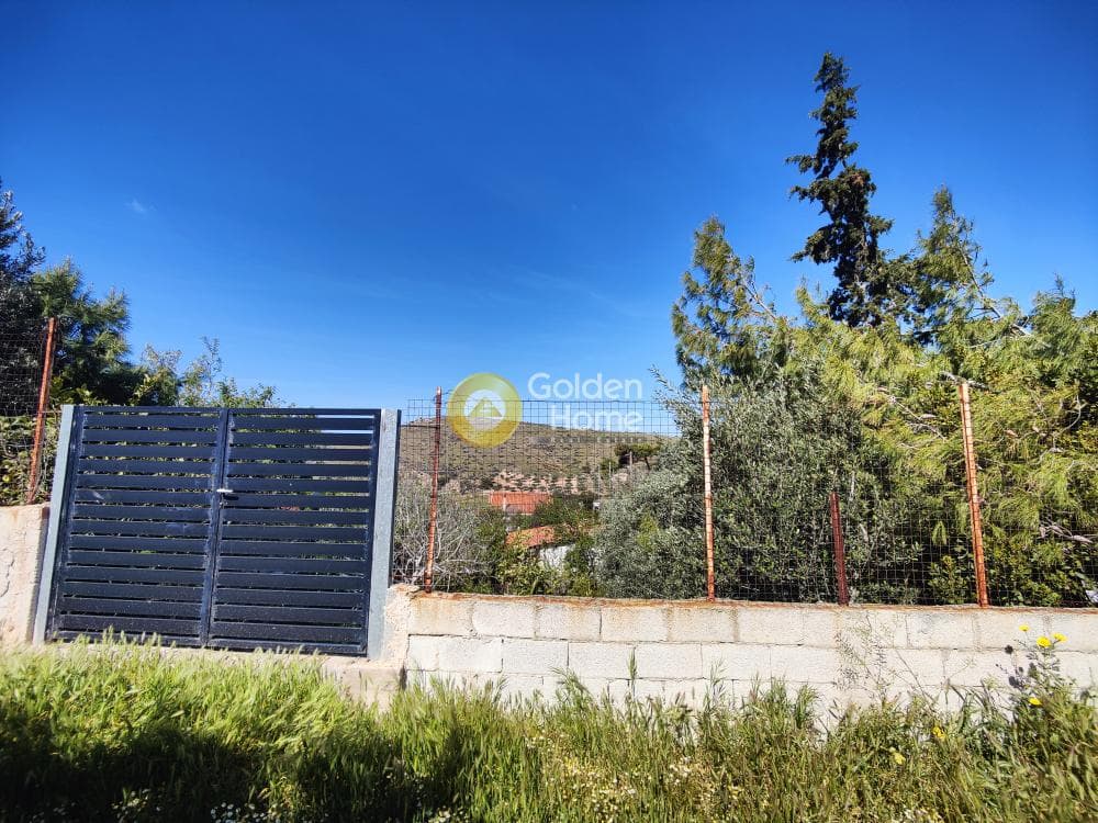 Parcel in Sakka, Keratea — Photo 5 of 5