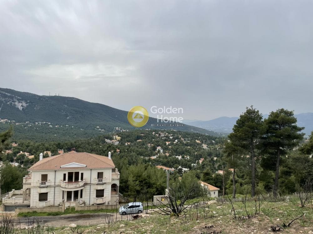 Building Plot in Rodopoli, Rodopoli — Photo 3 of 3
