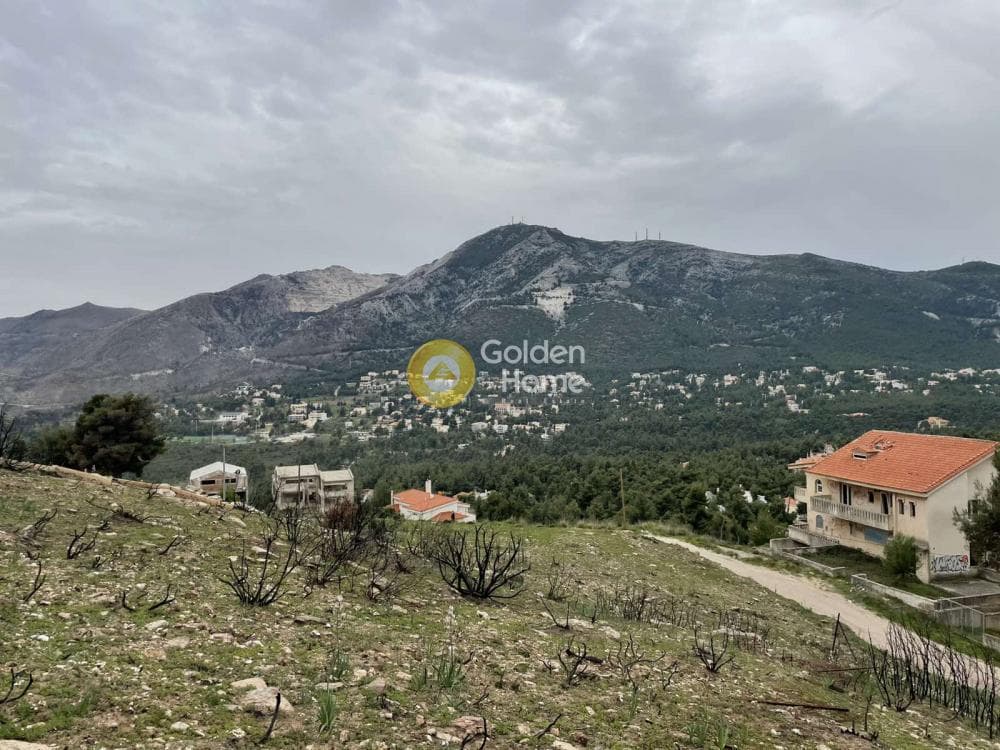 Building Plot in Rodopoli, Rodopoli — Photo 2 of 3
