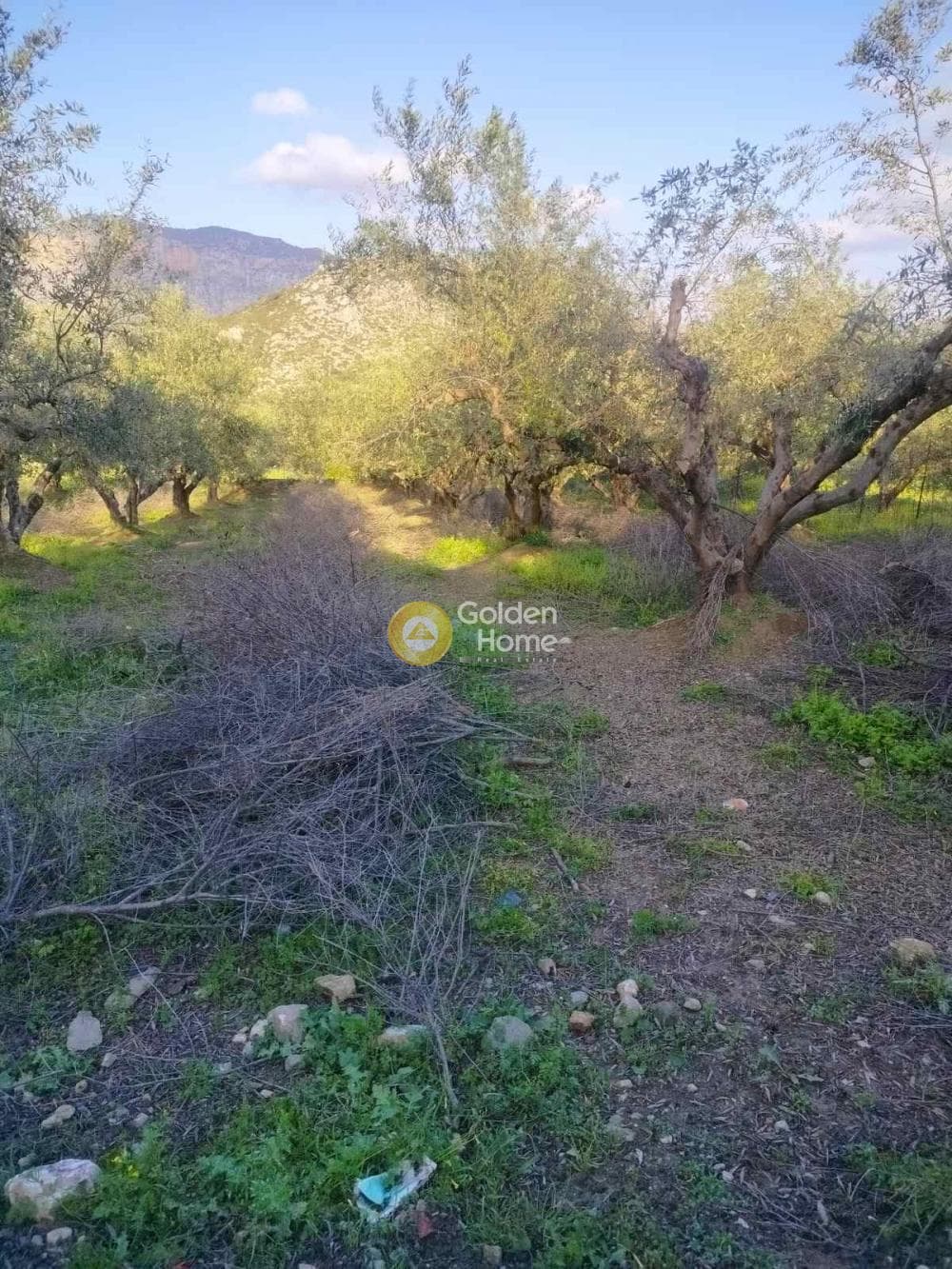 Building Plot in Profitis Ilias, Archanes — Photo 5 of 7