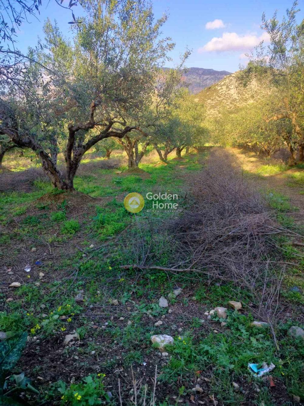 Building Plot in Profitis Ilias, Archanes — Photo 6 of 7