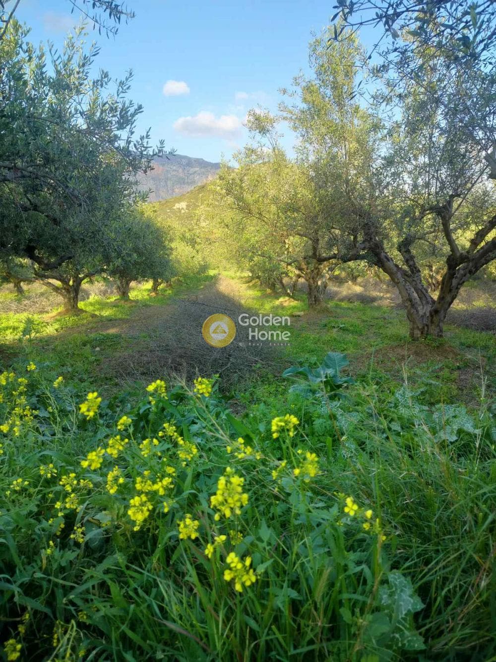 Building Plot in Profitis Ilias, Archanes — Photo 7 of 7