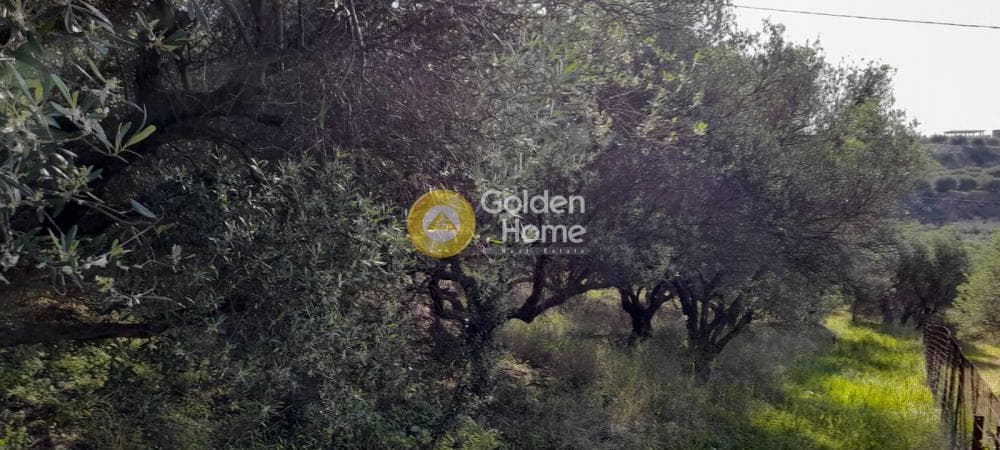 Οικόπεδο στην Άγιος Βλάσιος, Αρχάνες — Φωτογραφία 2 από 3
