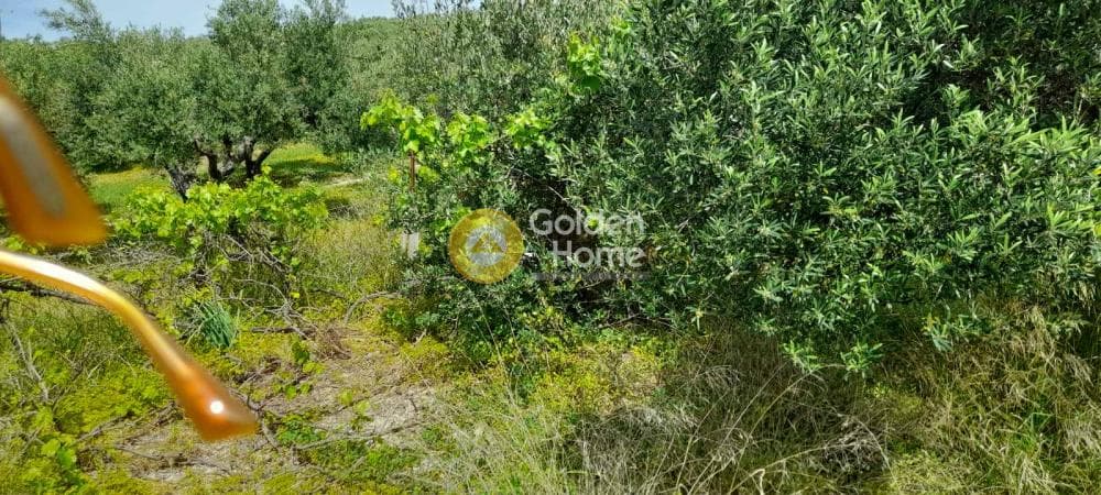 Οικόπεδο στην Άγιος Βλάσιος, Αρχάνες — Φωτογραφία 3 από 3