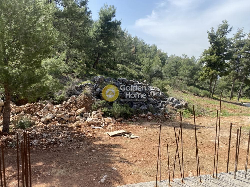 Οικόπεδο στην Αναγέννηση, Δροσιά — Φωτογραφία 3 από 15