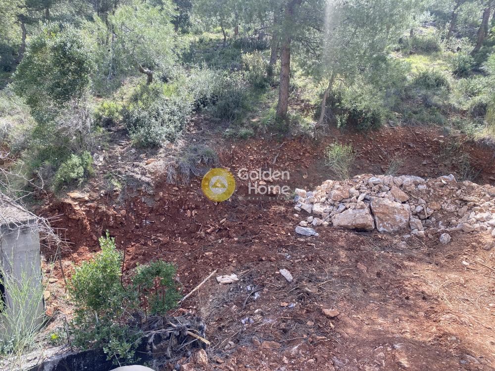 Οικόπεδο στην Αναγέννηση, Δροσιά — Φωτογραφία 2 από 15