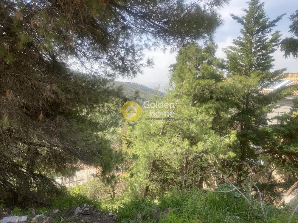 Οικόπεδο στην Αναγέννηση, Δροσιά — Φωτογραφία 7 από 15