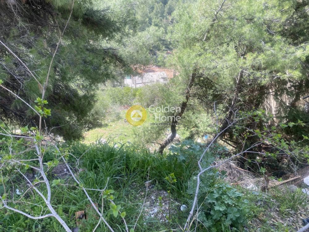 Οικόπεδο στην Αναγέννηση, Δροσιά — Φωτογραφία 9 από 15