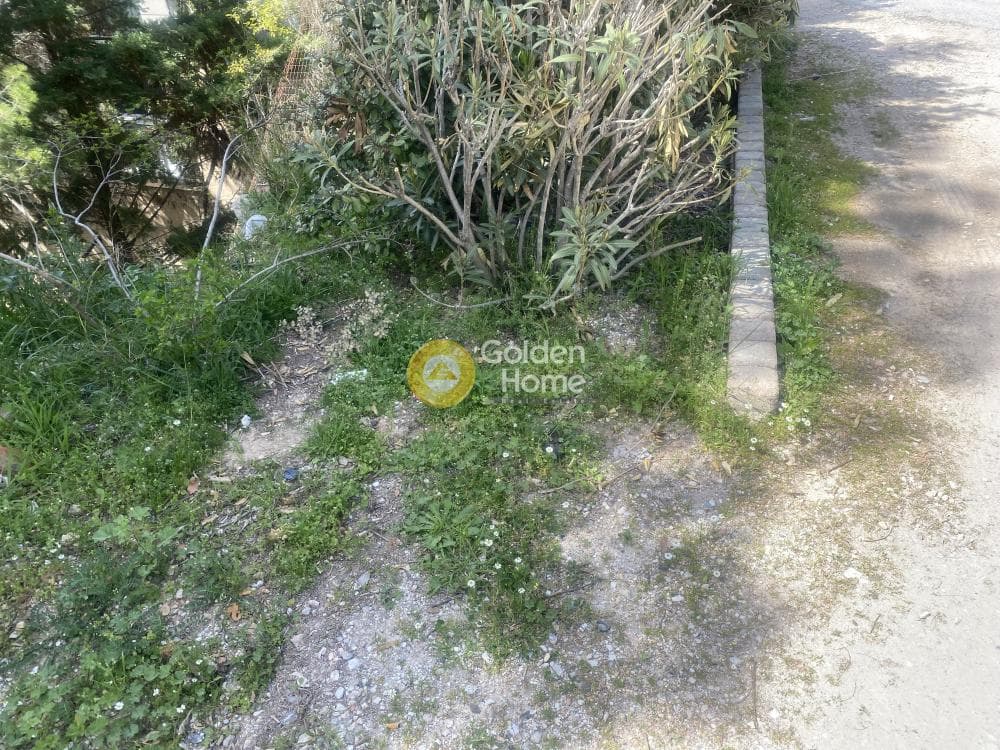 Οικόπεδο στην Αναγέννηση, Δροσιά — Φωτογραφία 11 από 15
