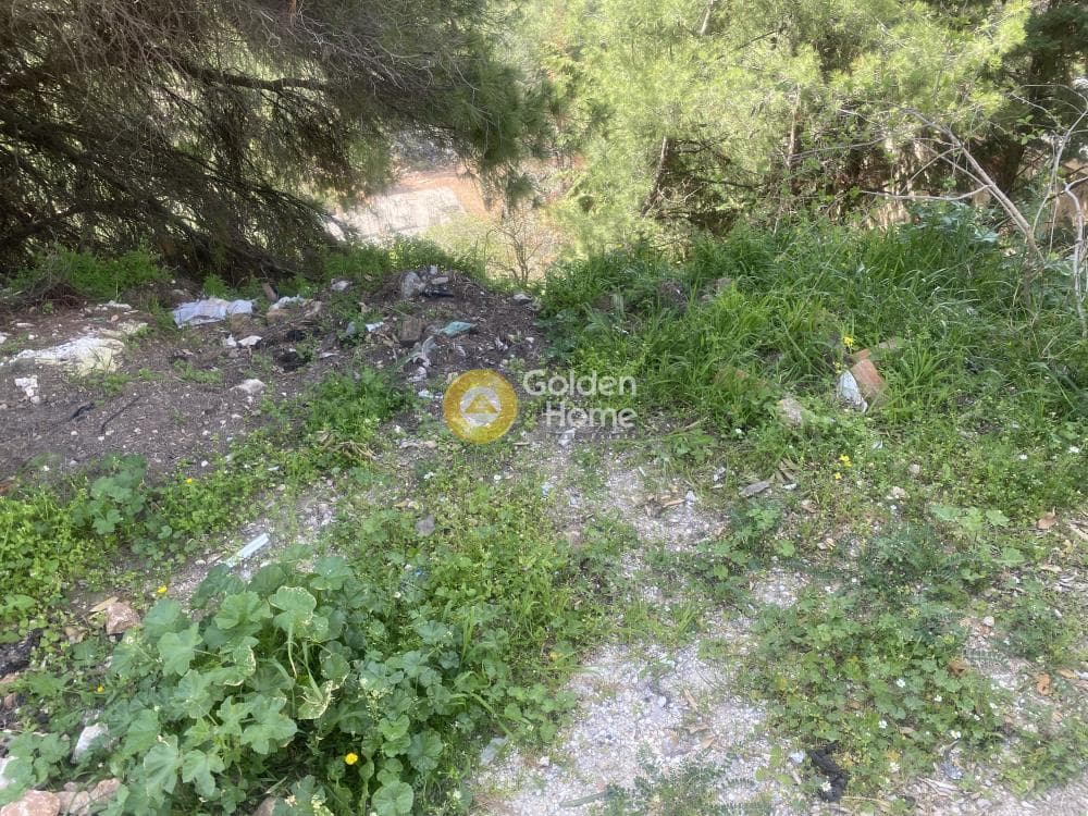 Οικόπεδο στην Αναγέννηση, Δροσιά — Φωτογραφία 10 από 15