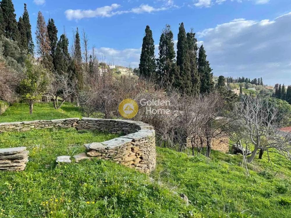 Αγροτεμάχιο στην Λιβάδια, Άνδρος — Φωτογραφία 6 από 11