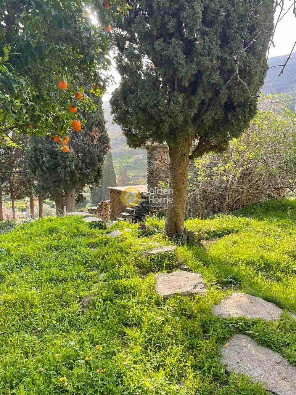 Αγροτεμάχιο στην Λιβάδια, Άνδρος — Φωτογραφία 2 από 11