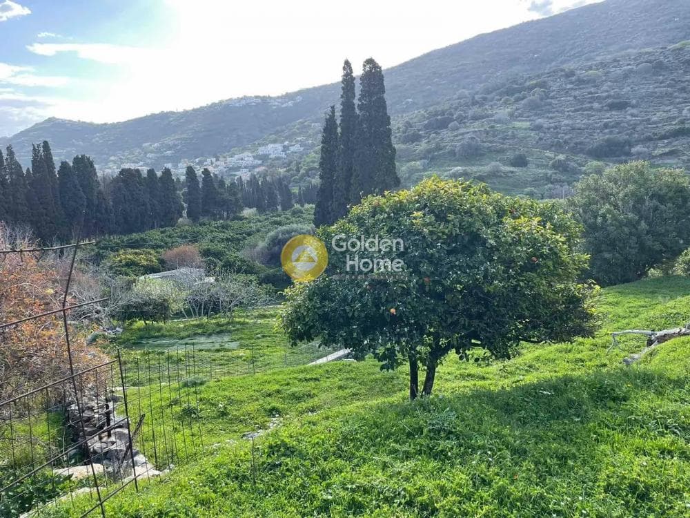Αγροτεμάχιο στην Λιβάδια, Άνδρος — Φωτογραφία 8 από 11