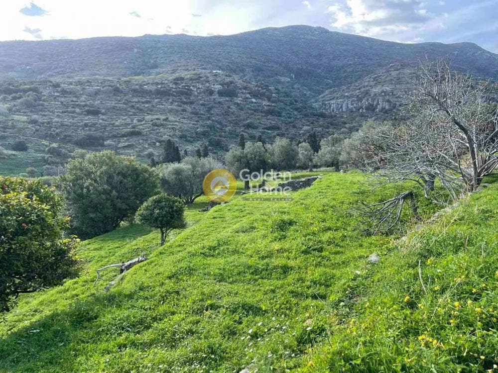 Αγροτεμάχιο στην Λιβάδια, Άνδρος — Φωτογραφία 11 από 11