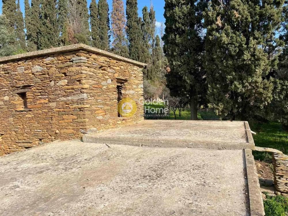 Αγροτεμάχιο στην Λιβάδια, Άνδρος — Φωτογραφία 10 από 11