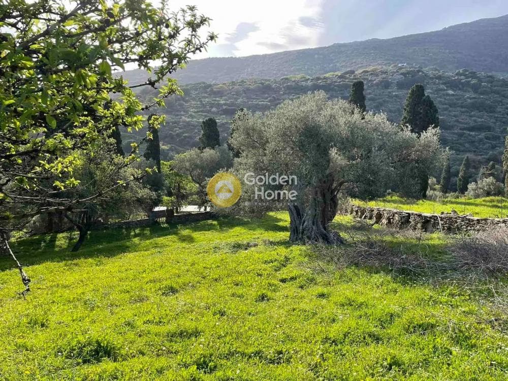 Αγροτεμάχιο στην Λιβάδια, Άνδρος — Φωτογραφία 7 από 11