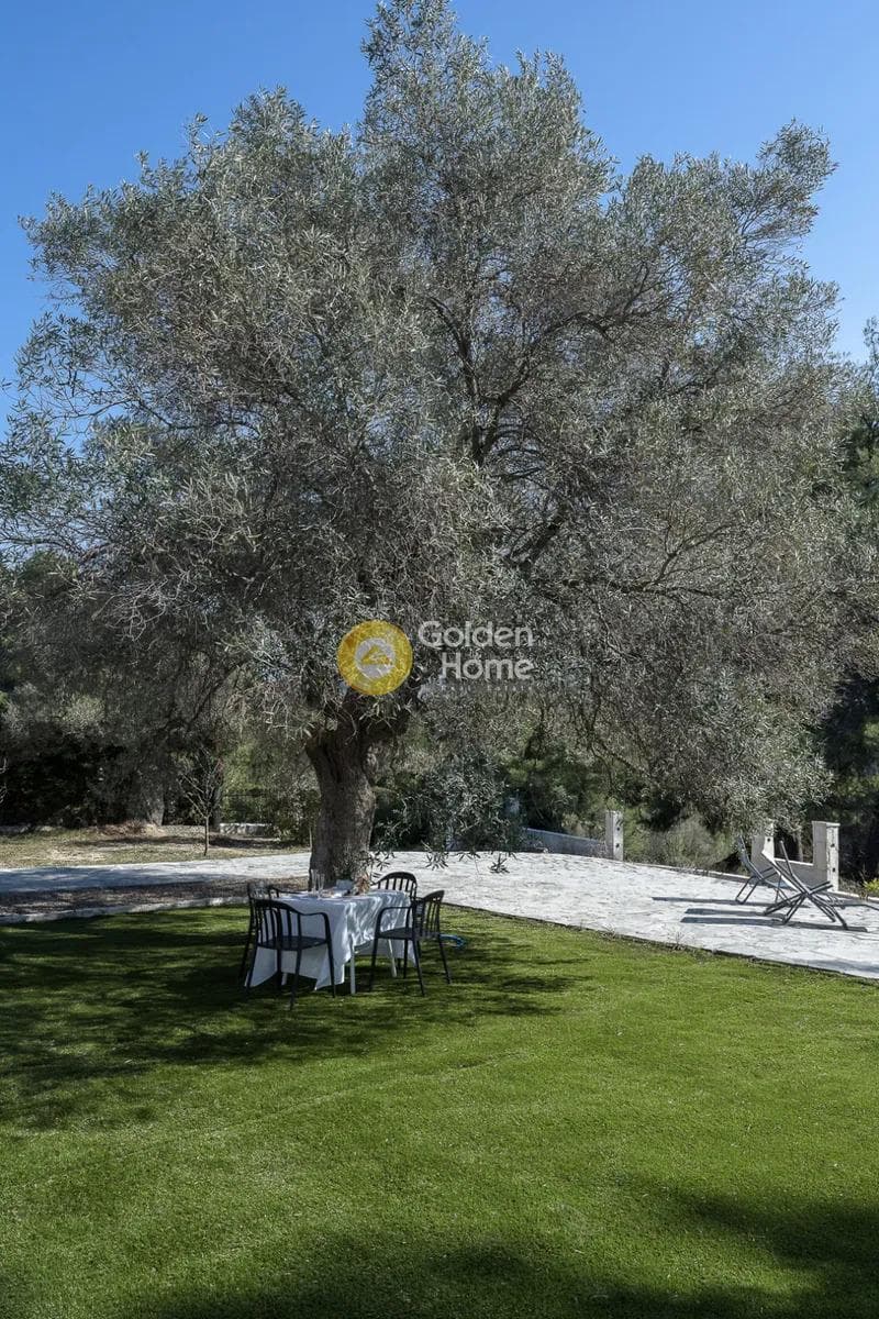 Μονοκατοικία στην Ποσείδι, Κασσάνδρα — Φωτογραφία 17 από 22