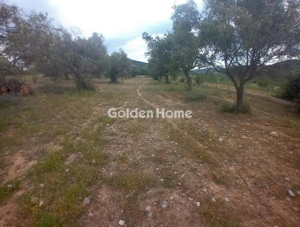 Parcel in Kefleika, Kalivia Thorikou — Photo 1 of 11