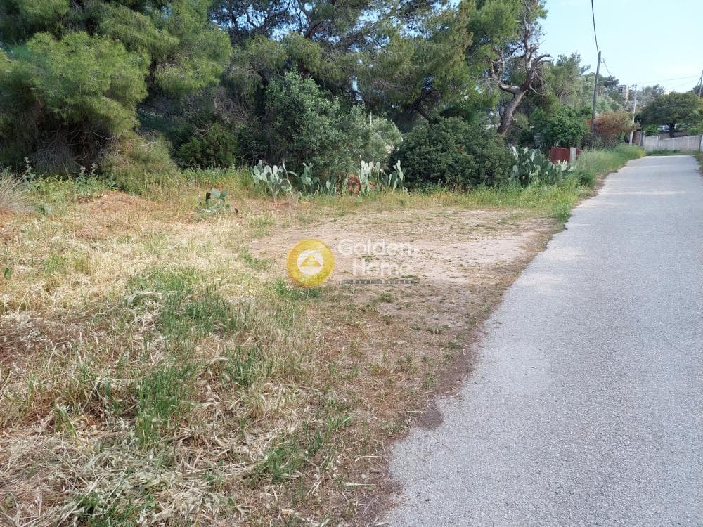Parcel in Ikismos Aiolos, Rafina — Photo 1 of 13