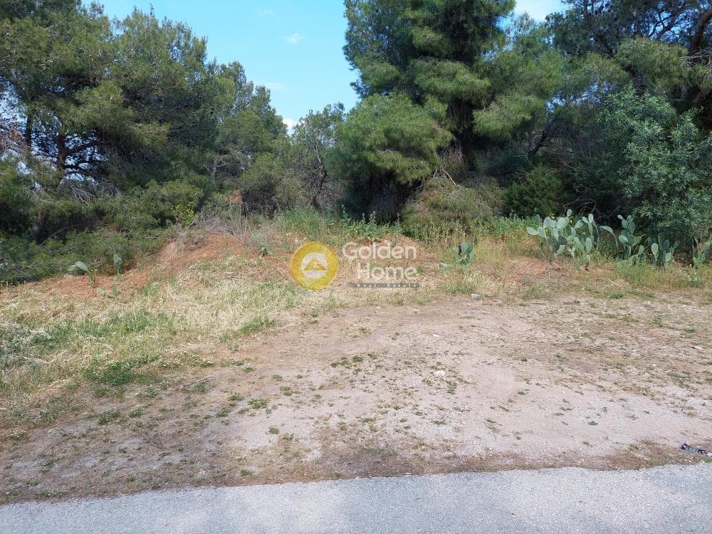 Parcel in Ikismos Aiolos, Rafina — Photo 2 of 13