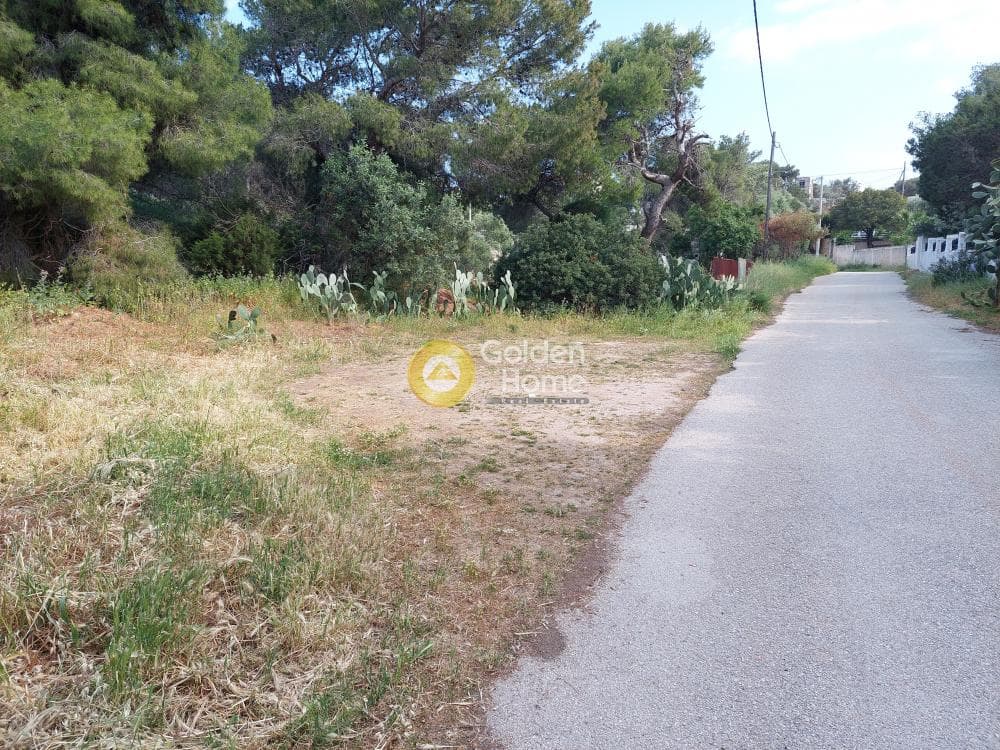 Parcel in Ikismos Aiolos, Rafina — Photo 3 of 13