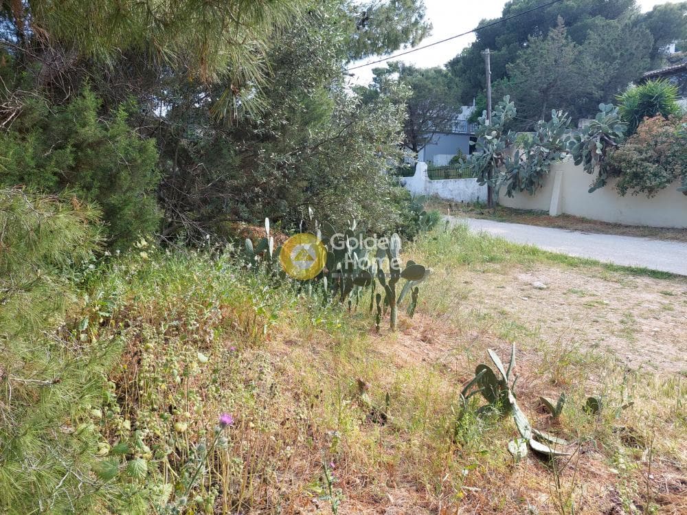 Parcel in Ikismos Aiolos, Rafina — Photo 6 of 13