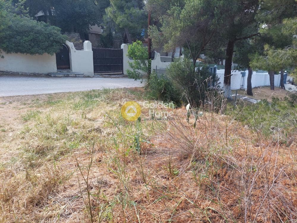 Parcel in Ikismos Aiolos, Rafina — Photo 8 of 13