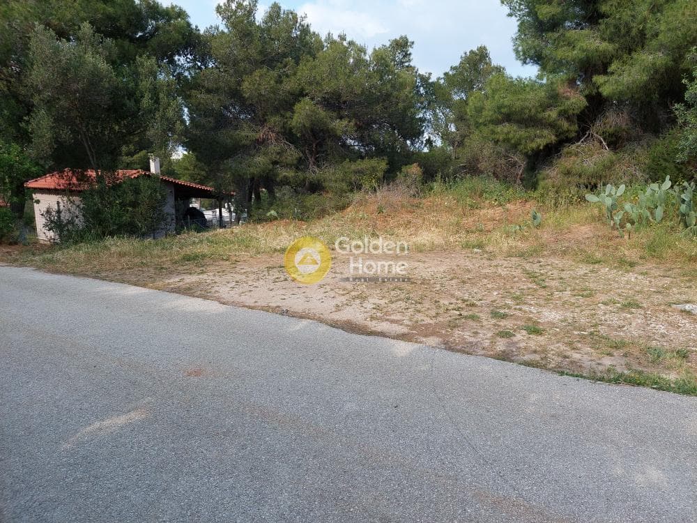 Parcel in Ikismos Aiolos, Rafina — Photo 10 of 13