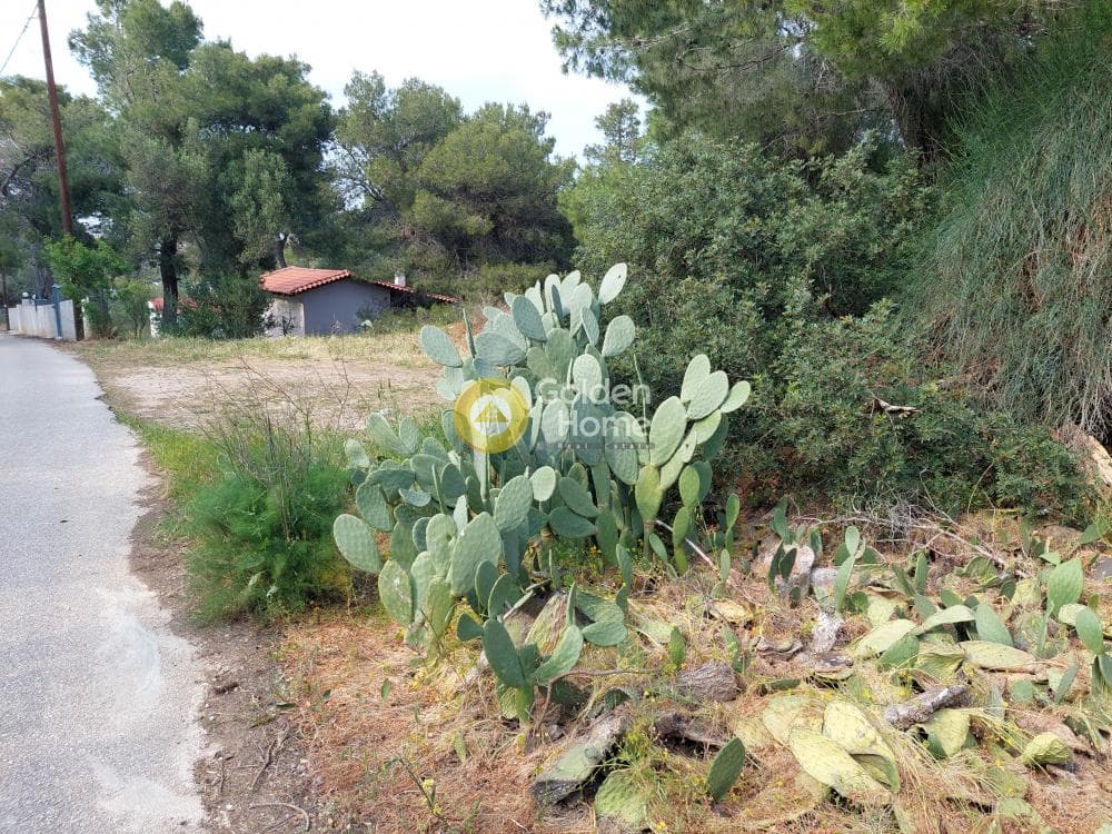 Parcel in Ikismos Aiolos, Rafina — Photo 11 of 13