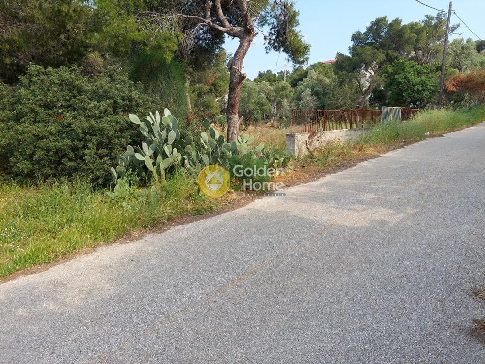 Parcel in Ikismos Aiolos, Rafina — Photo 12 of 13