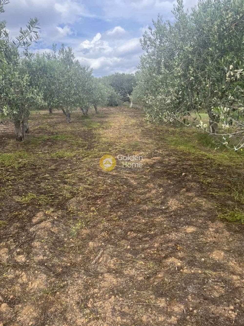 Building Plot in Kato Vatheia, Episkopi — Photo 3 of 11