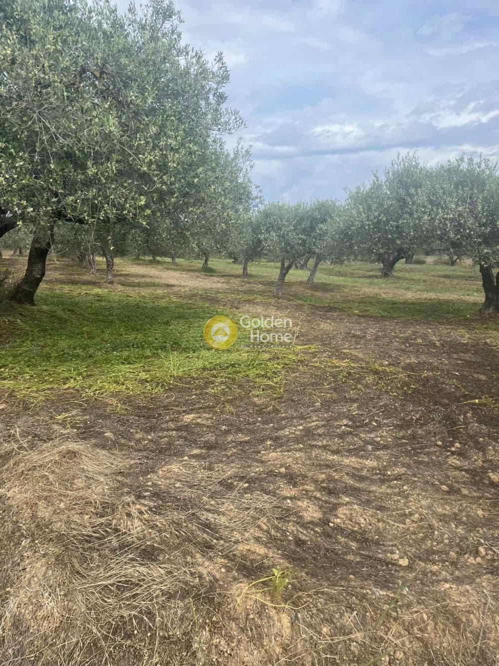 Building Plot in Kato Vatheia, Episkopi — Photo 2 of 11