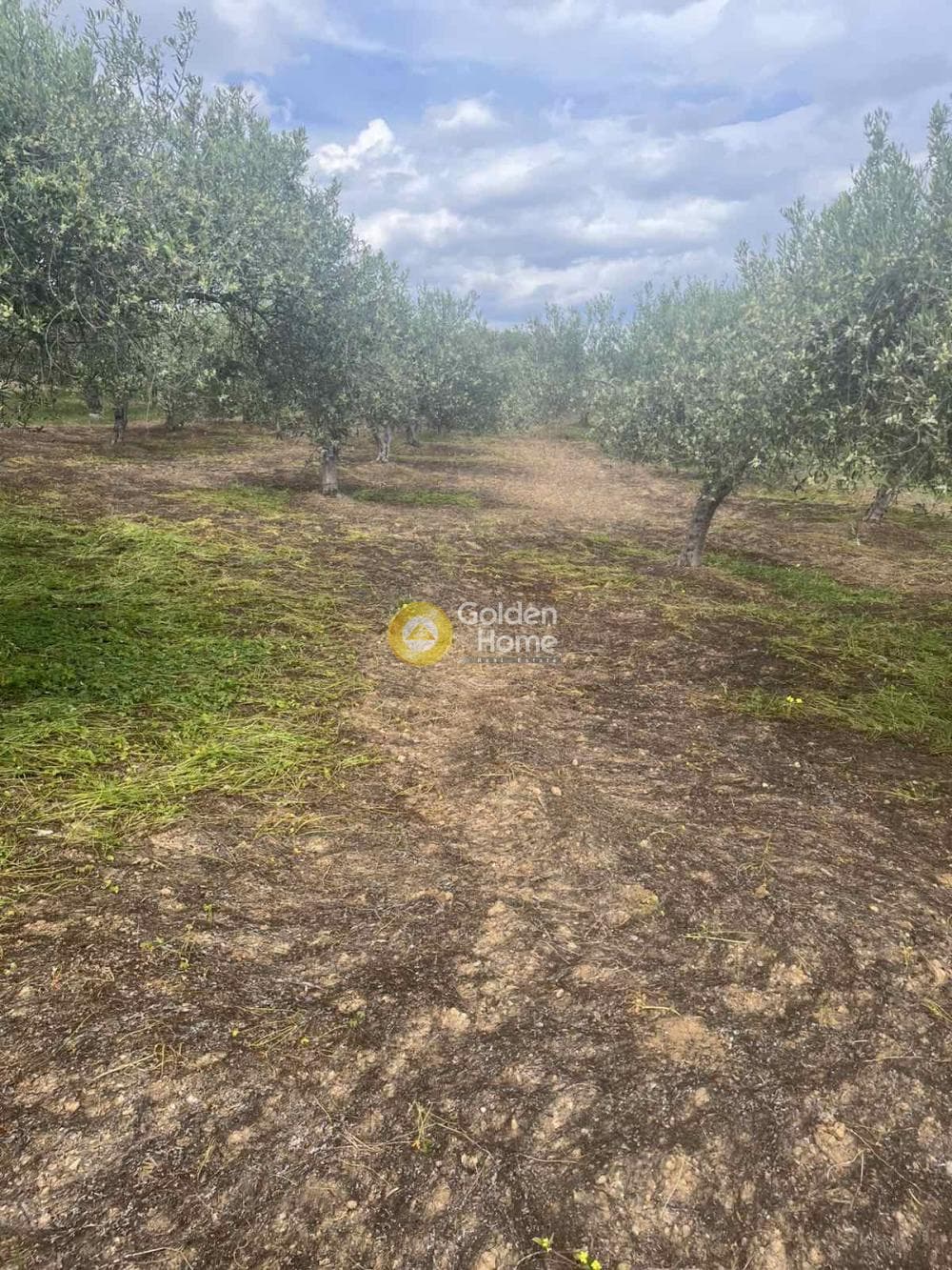Building Plot in Kato Vatheia, Episkopi — Photo 5 of 11