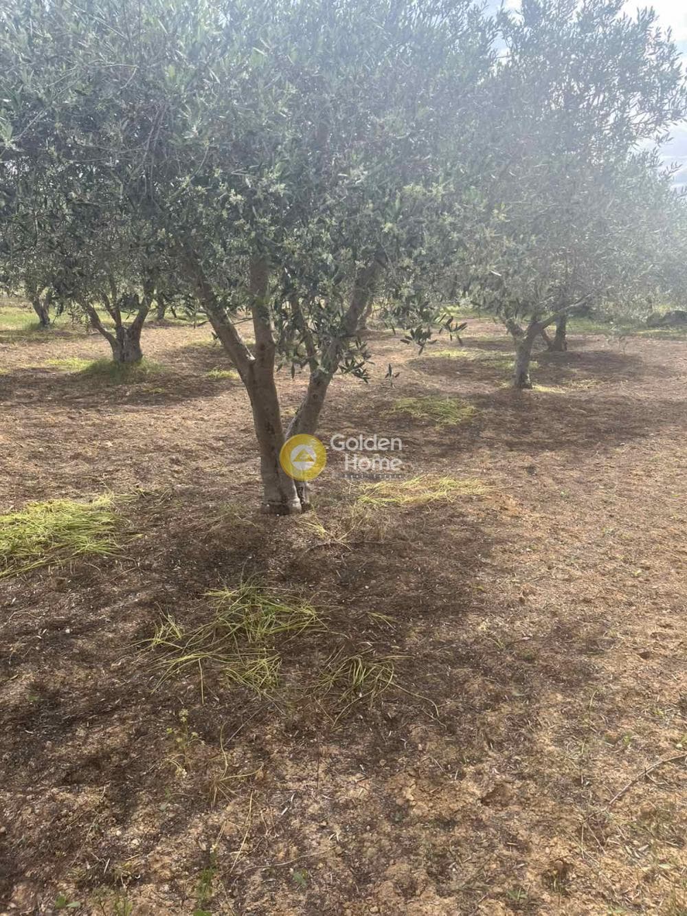 Building Plot in Kato Vatheia, Episkopi — Photo 4 of 11