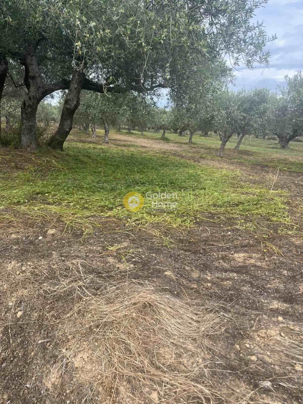 Building Plot in Kato Vatheia, Episkopi — Photo 6 of 11