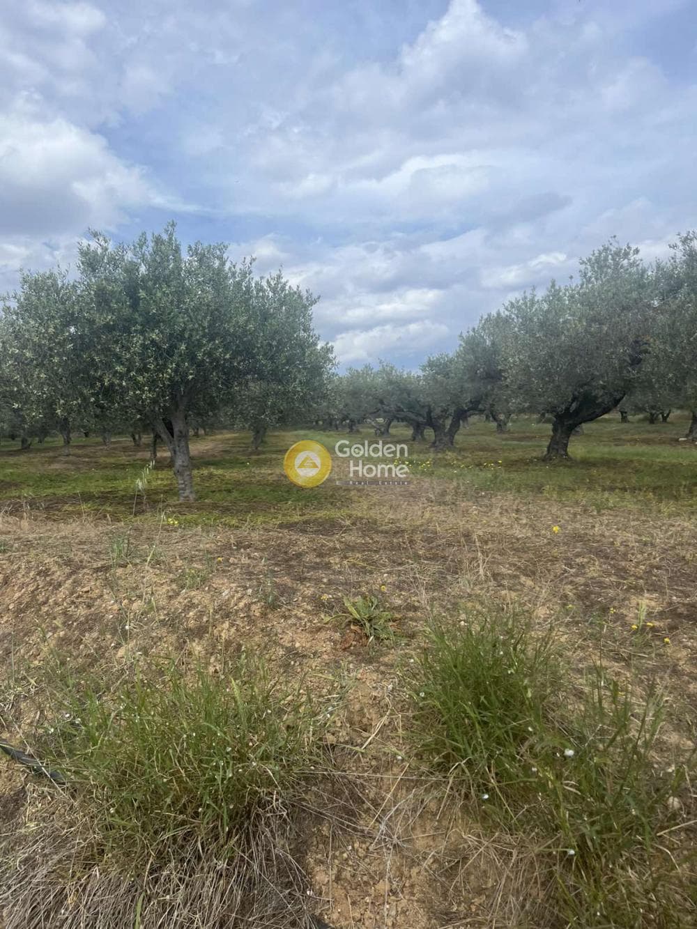 Building Plot in Kato Vatheia, Episkopi — Photo 7 of 11