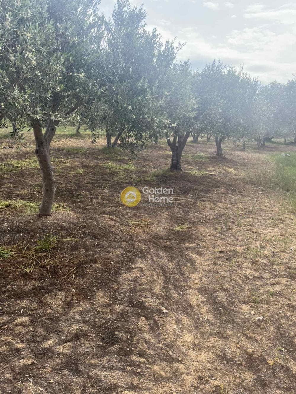Building Plot in Kato Vatheia, Episkopi — Photo 8 of 11