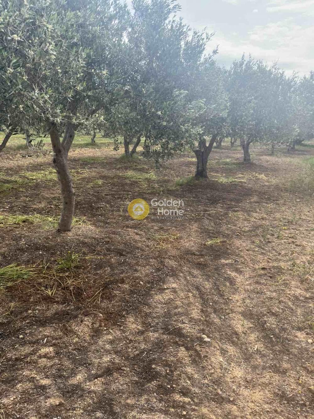 Building Plot in Kato Vatheia, Episkopi — Photo 9 of 11