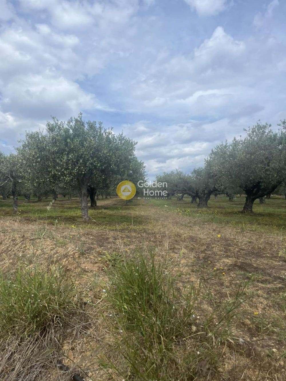 Building Plot in Kato Vatheia, Episkopi — Photo 10 of 11