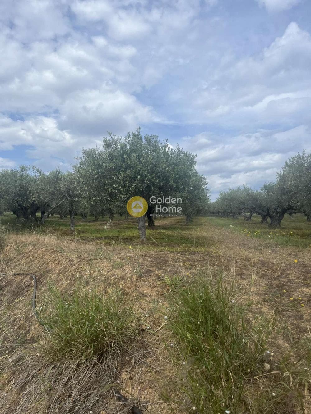 Building Plot in Kato Vatheia, Episkopi — Photo 11 of 11