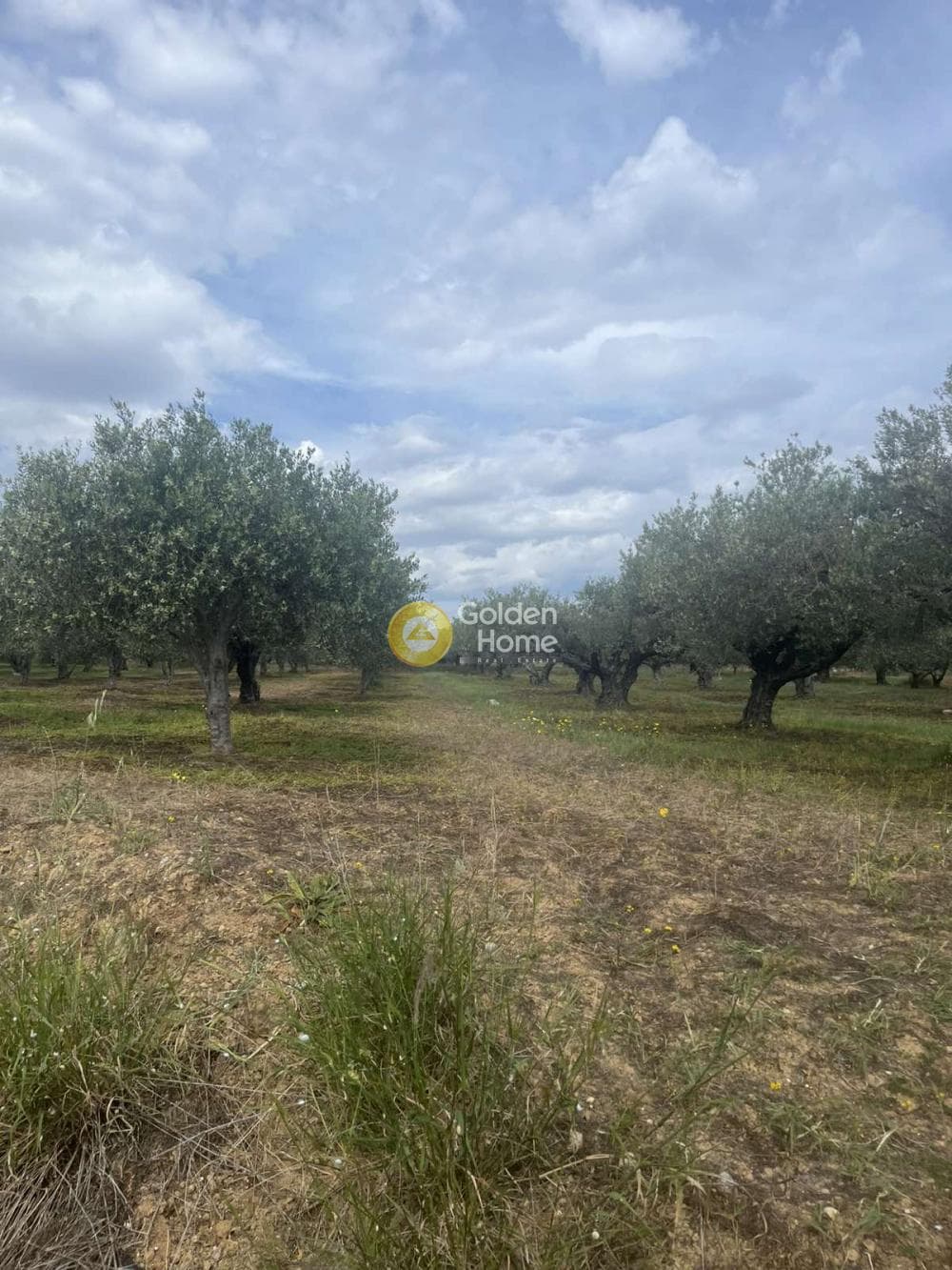 Building Plot in Kato Vatheia, Episkopi — Photo 1 of 11