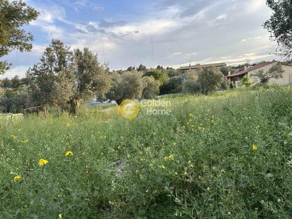 Building Plot in Neapoli, Spata — Photo 2 of 3