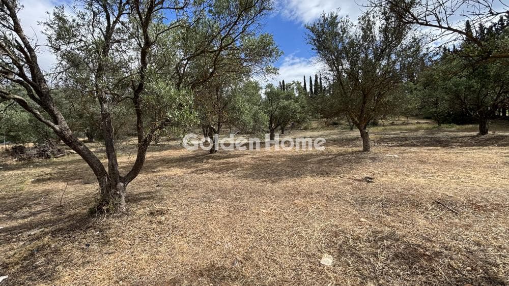 Parcel in Oikismos Vgena, Rafina
