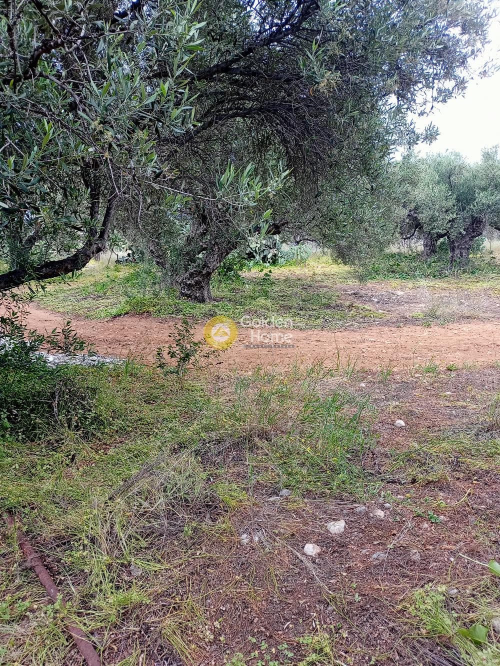 Οικόπεδο στην Κέντρο, Μάλλια — Φωτογραφία 2 από 3
